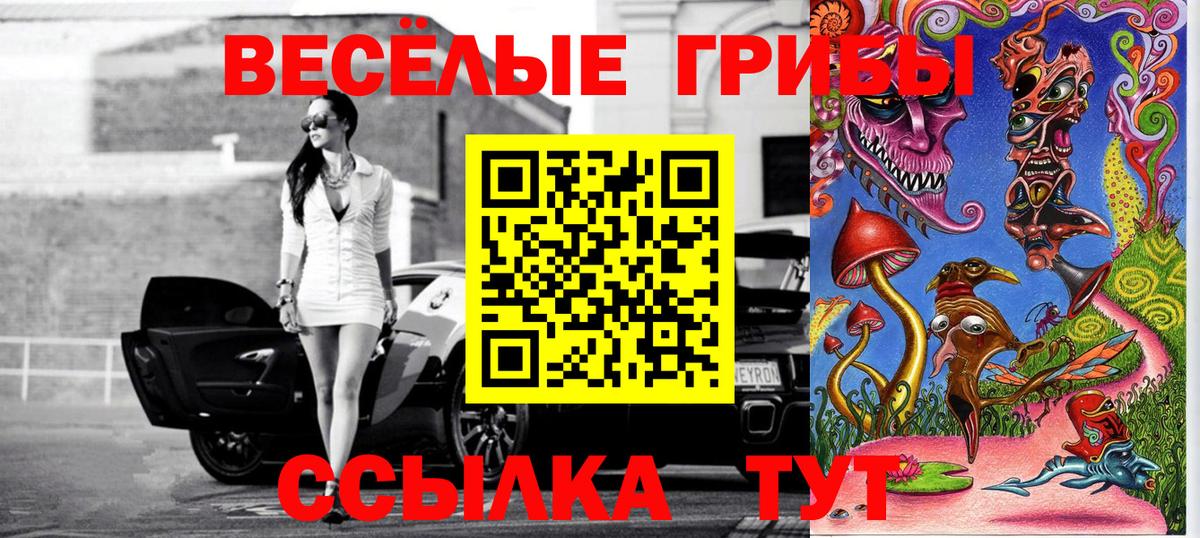 Псилоцибиновые грибы GOLDEN TEACHER  Вход с VPN  где можно купить наркотик  Печора  Псилоцибиновые грибы ЛСД 