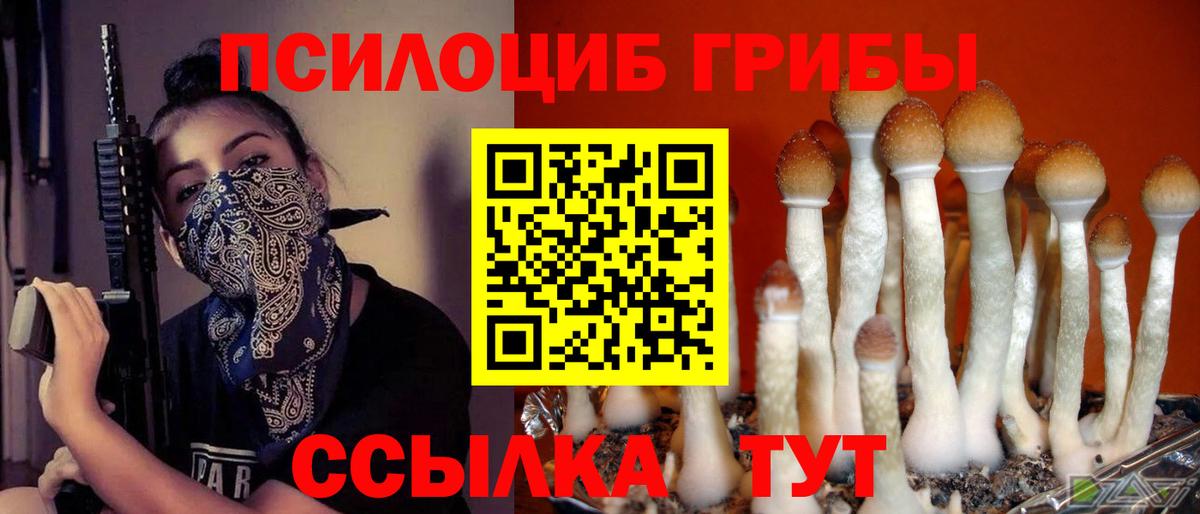 Галлюциногенные грибы ЛСД Печора